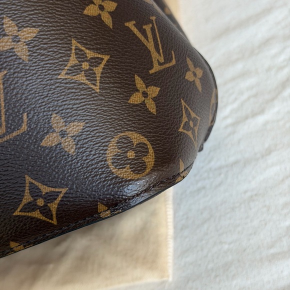 Louis Vuitton NeoNoe Monogram Bucket Bag - Picture 12 of 13